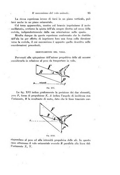 Archivio di fisiologia