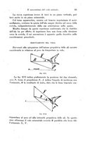 giornale/TO00177025/1925/unico/00000101