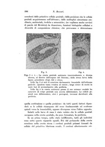 Archivio di fisiologia