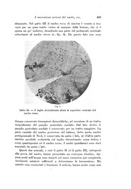 Archivio di fisiologia