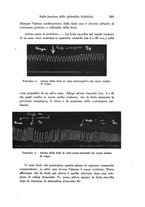 giornale/TO00177025/1928/unico/00000529