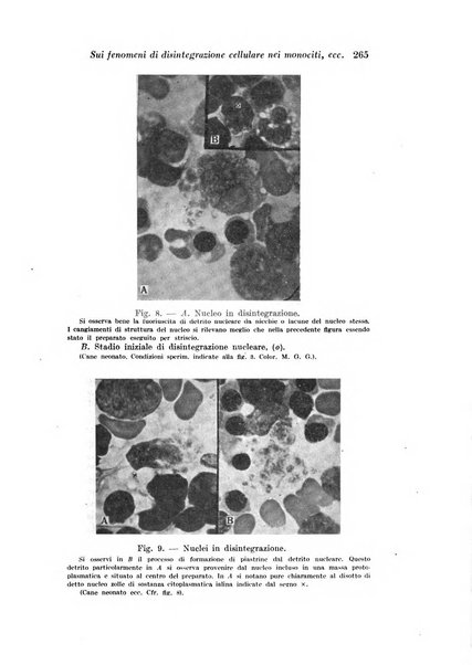 Archivio di fisiologia