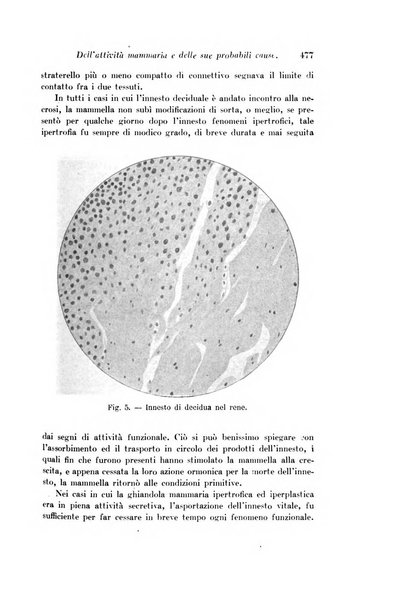 Archivio di fisiologia