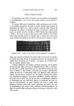 giornale/TO00177025/1930/V.29/00000135