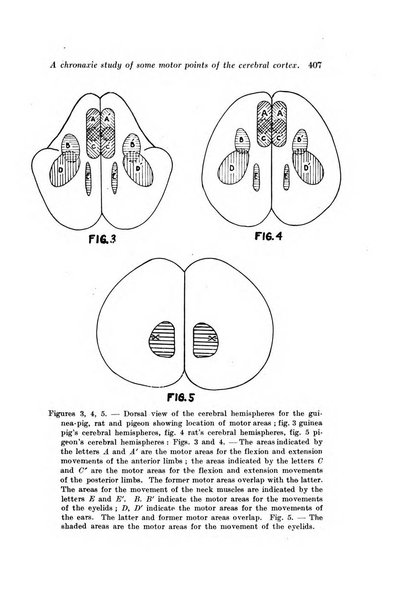 Archivio di fisiologia