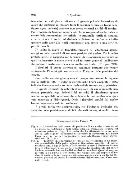 Archivio di fisiologia