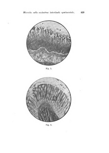 Archivio di fisiologia