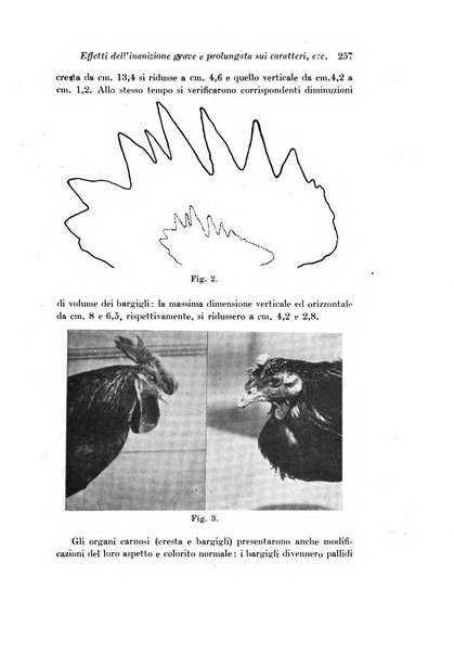 Archivio di fisiologia