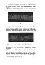 giornale/TO00177025/1933/unico/00000445