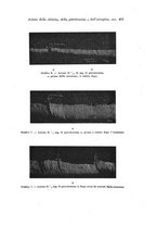 giornale/TO00177025/1933/unico/00000449