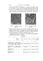 giornale/TO00177025/1934/unico/00000642