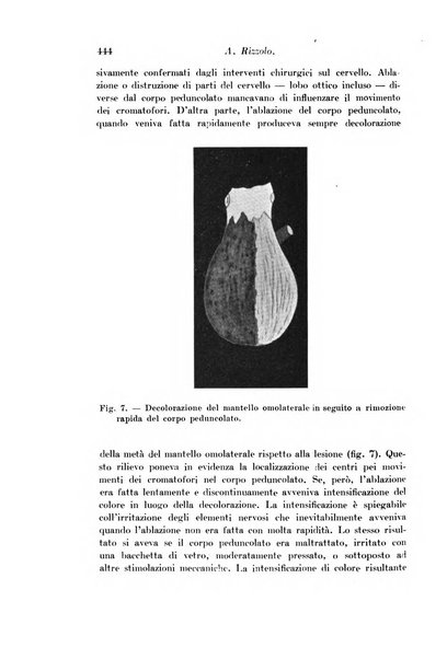 Archivio di fisiologia