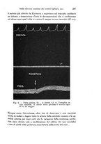 giornale/TO00177025/1935/unico/00000539