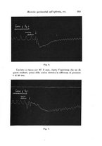 giornale/TO00177025/1936/unico/00000339