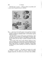 giornale/TO00177025/1936/unico/00000410