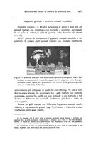 giornale/TO00177025/1936/unico/00000421