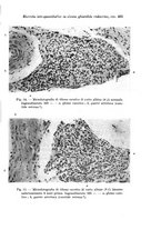 giornale/TO00177025/1937/unico/00000555