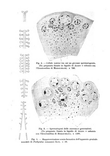 Archivio di fisiologia