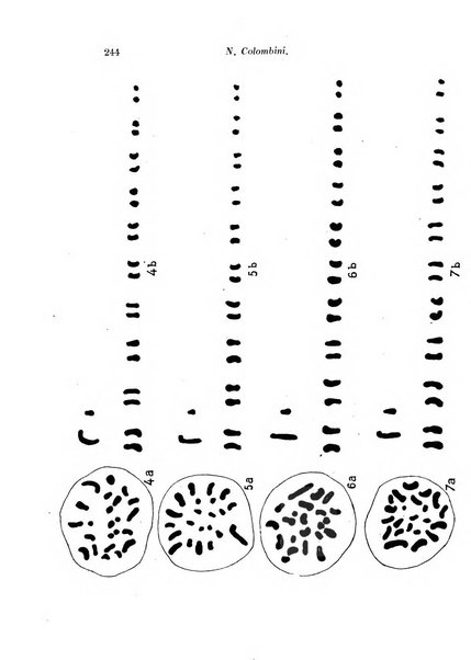 Archivio di fisiologia