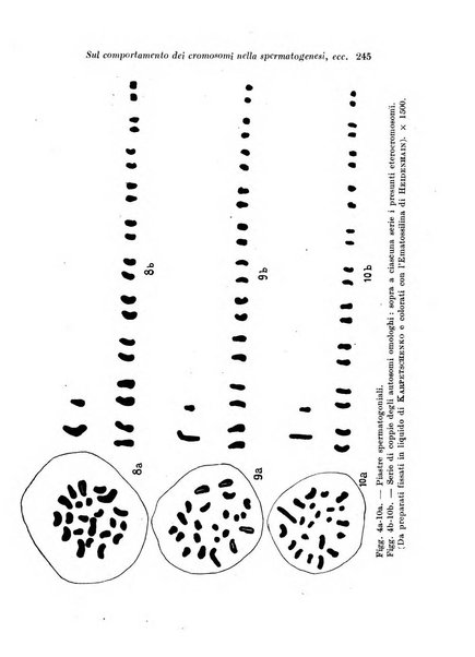 Archivio di fisiologia