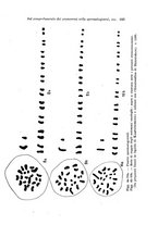 giornale/TO00177025/1938/unico/00000275