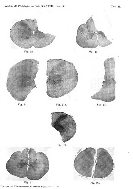 Archivio di fisiologia