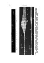 giornale/TO00177025/1939/unico/00000086