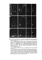 giornale/TO00177025/1939/unico/00000388