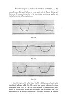 giornale/TO00177025/1939/unico/00000529