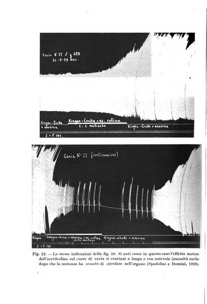 Archivio di fisiologia