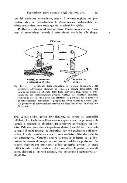 Archivio di fisiologia