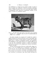 giornale/TO00177025/1940/unico/00000146