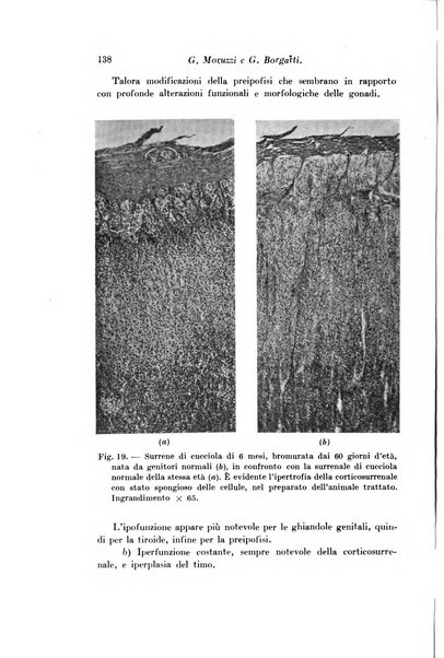 Archivio di fisiologia