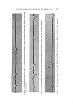 giornale/TO00177025/1940/unico/00000221