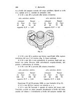 giornale/TO00177025/1941/unico/00000432