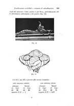 giornale/TO00177025/1941/unico/00000451