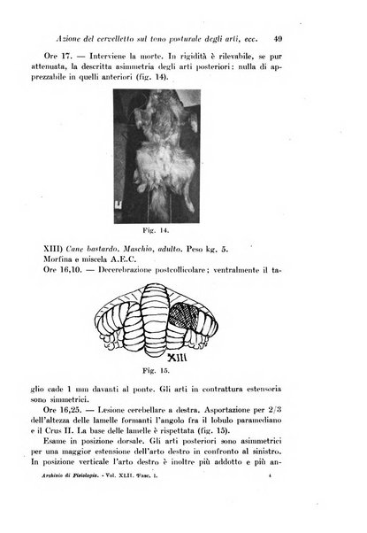 Archivio di fisiologia