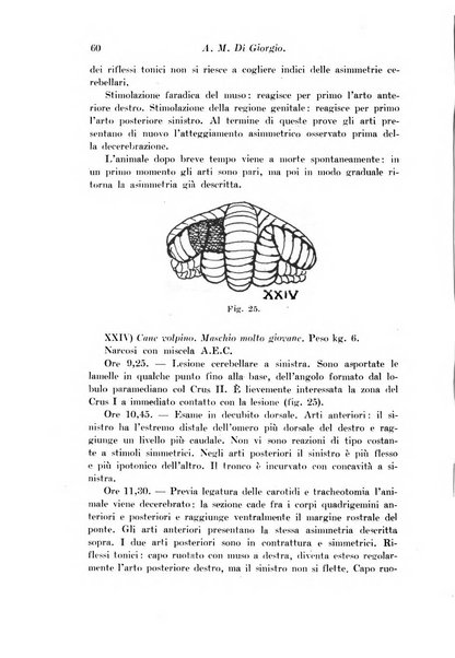 Archivio di fisiologia