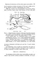 giornale/TO00177025/1942/unico/00000427