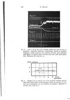 giornale/TO00177025/1943/unico/00000264