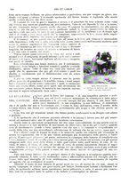 giornale/TO00177086/1907/unico/00000356