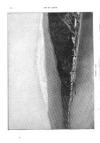 giornale/TO00177086/1908/unico/00000028