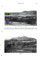 giornale/TO00177086/1910/v.1/00000241