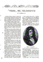 giornale/TO00177086/1910/v.1/00000357