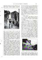 giornale/TO00177086/1910/v.2/00000605