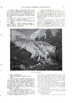 giornale/TO00177086/1911/v.1/00000047