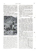 giornale/TO00177086/1911/v.1/00000362