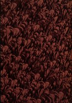 giornale/TO00177121/1923-1926/v.27-30