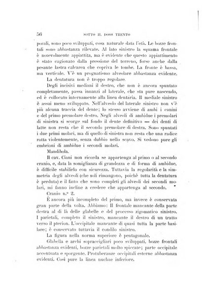 Archivio trentino rivista trimestrale