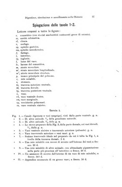 Archivio zoologico